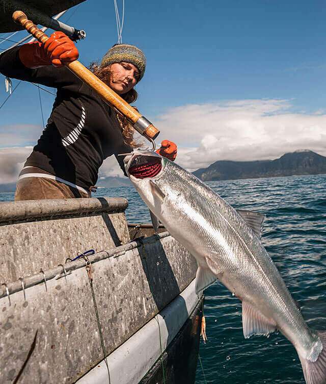 Beeld: Alaska Seafood Org