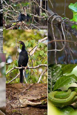 Ten things to not miss when you're in Costa Rica | insimoneskitchen.com