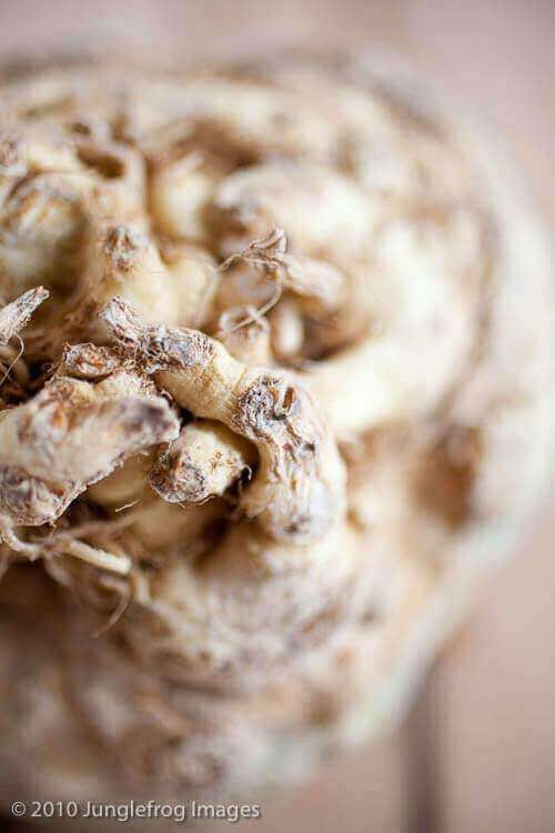 celeriac