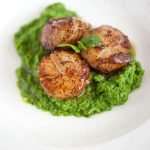 Scallops with mint and pea puree