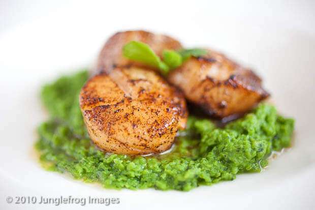 Scallops on a bed of mint puree | insimoneskitchen.com