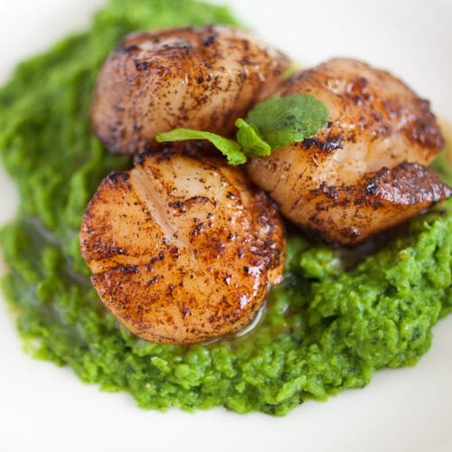 Scallops with mint and pea puree