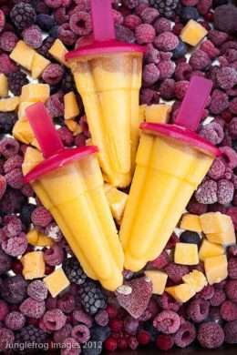 Mango popsicles with rhubarb