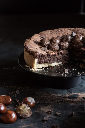 chestnut chocolate cake