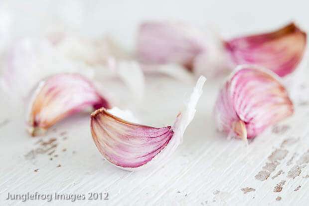 Garlic shot with daylight | insimoneskitchen.com