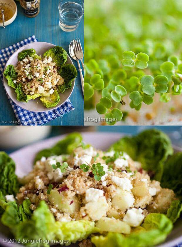 quinoa salad with walnuts and feta | insimoneskitchen.com