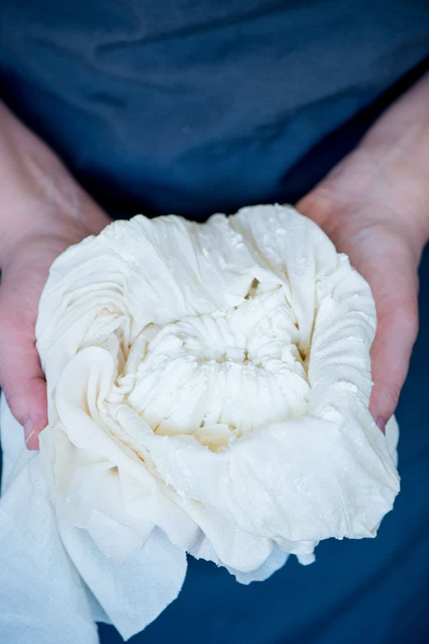 Fresh goat cheese ready to be processed