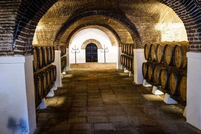 Cartuxa winery