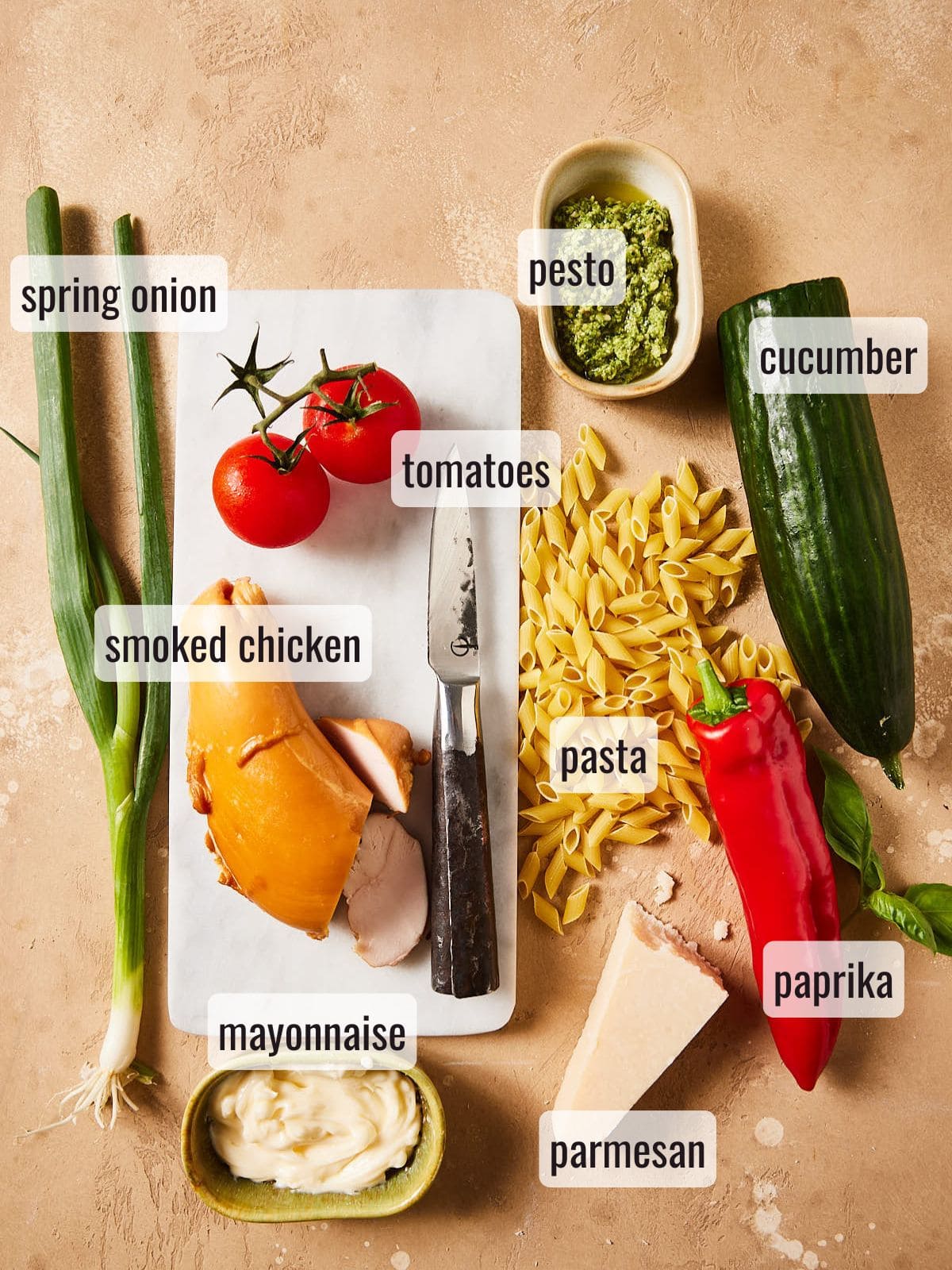 Ingredients for pasta salad with chicken