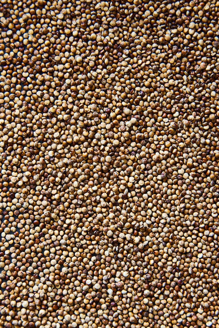 Toasted quinoa