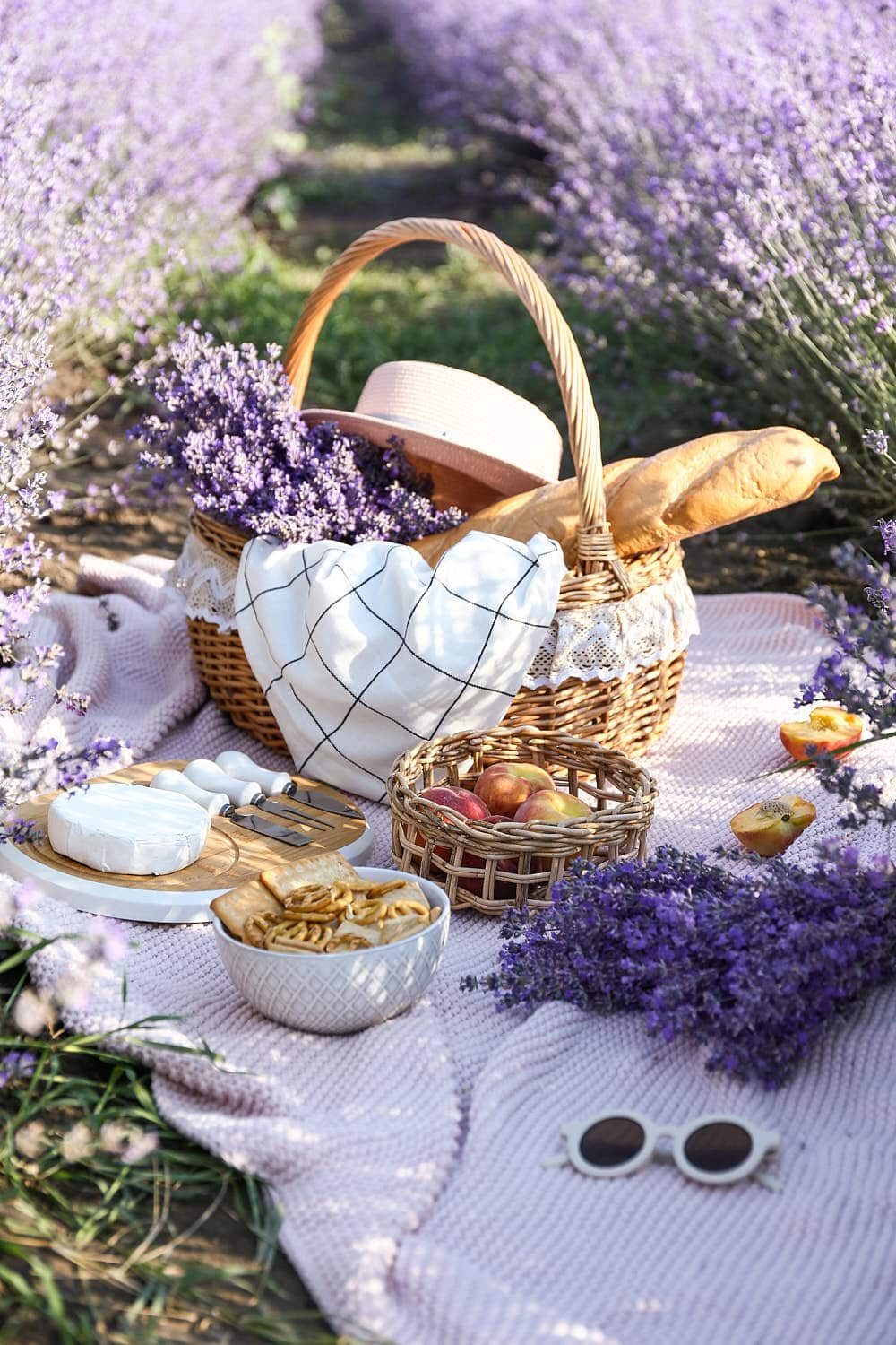 Lavender field in the summer with picnic
