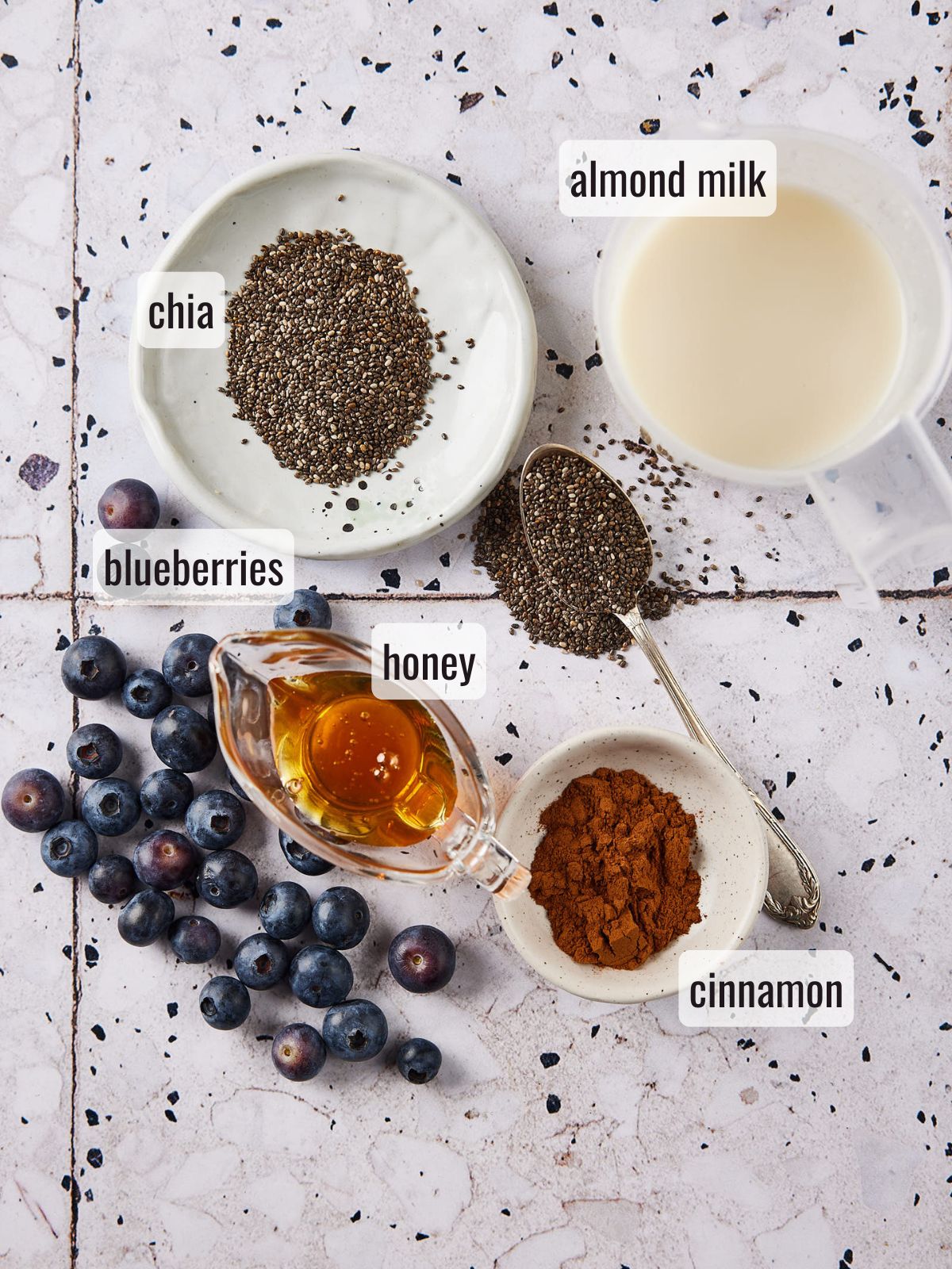 Ingredients for blueberry chia pudding