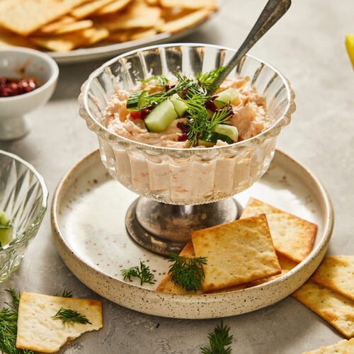 Easy Salmon Mousse
