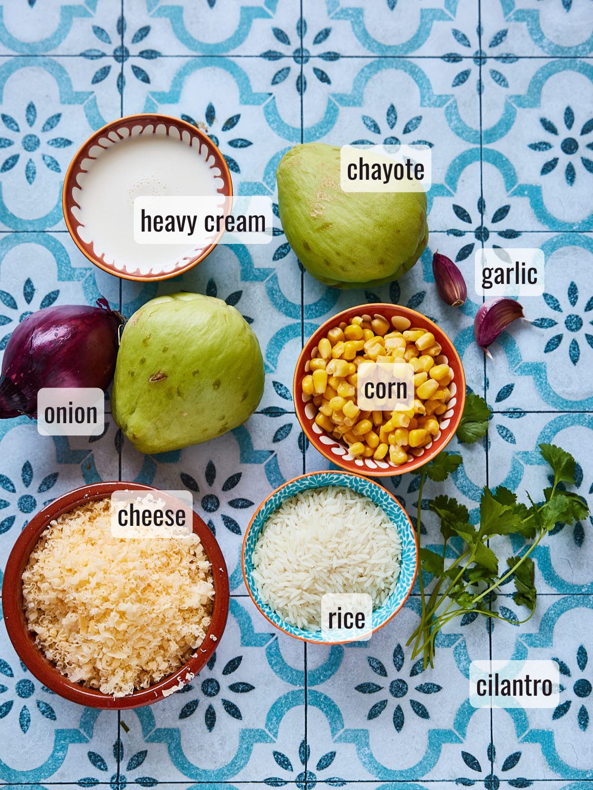 Ingredients for Mexican chayote
