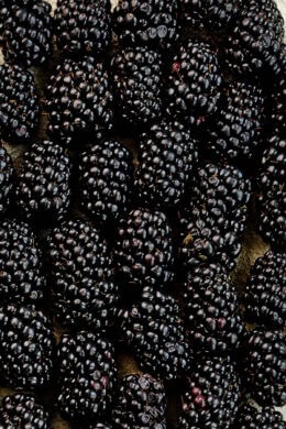 Blackberries