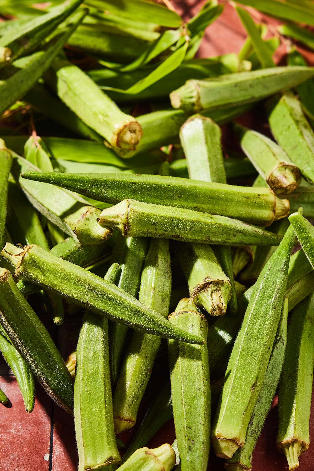 What is okra